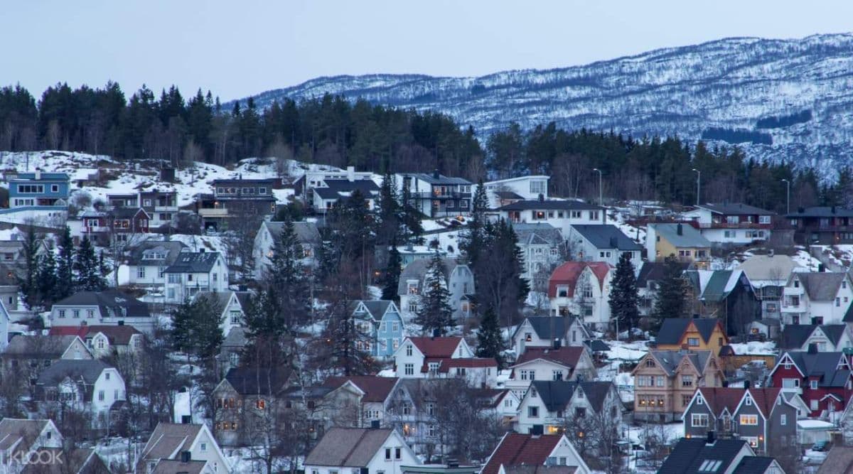 Narvik Fjäll and Fjord Day Tour from Abisko or Björkliden