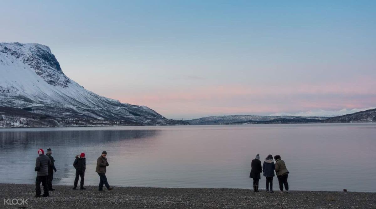 Narvik Fjäll and Fjord Day Tour from Abisko or Björkliden