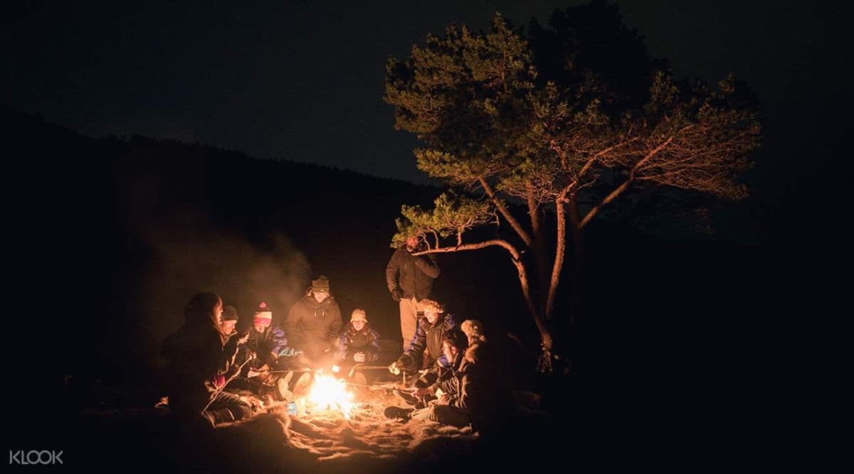 Northern Lights Minibus Chase Tour from Others