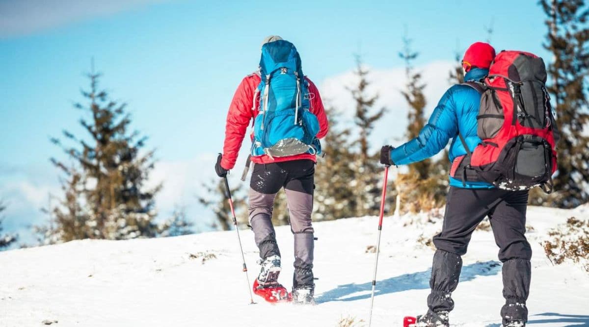 Experiencia de raquetas de nieve Others Day