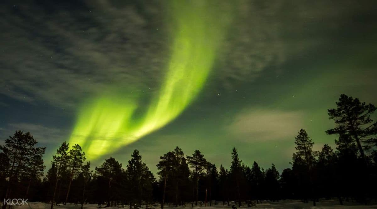 Others Night Snowshoeing