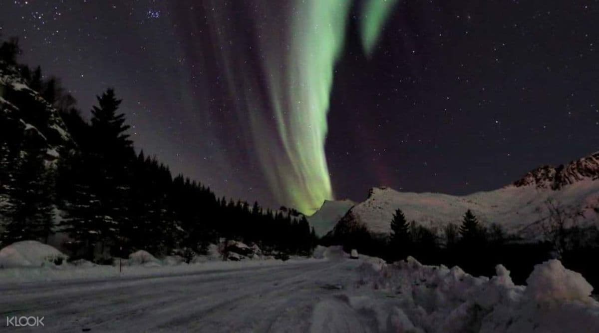 Others Night Snowshoeing