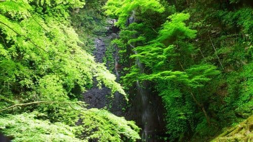 Akame 48 Waterfalls