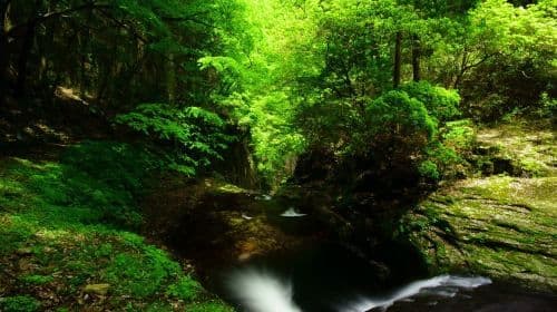 Akame 48 Waterfalls
