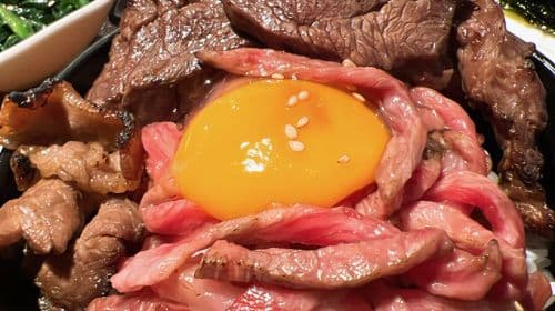 무한리필 [스탠다드 야키니쿠 코스] - Yakiniku 8