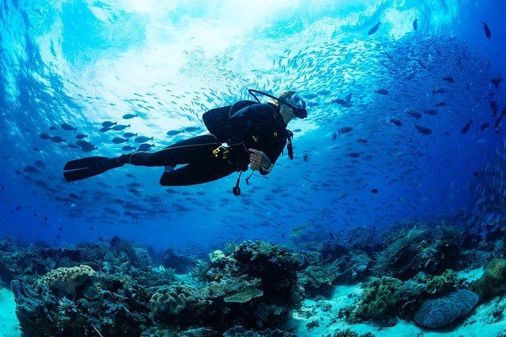 Scuba Diving Tour in Bodrum