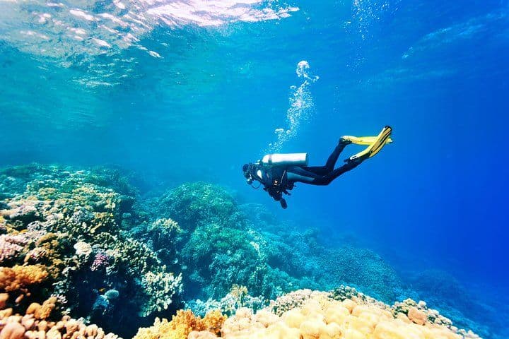Tour di immersioni subacquee a Bodrum
