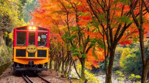 Arashiyama Kyoto, Sagano Scenic Railway + Nara Park + Fushimi Inari Taisha 1-daagse tour Dagtochten