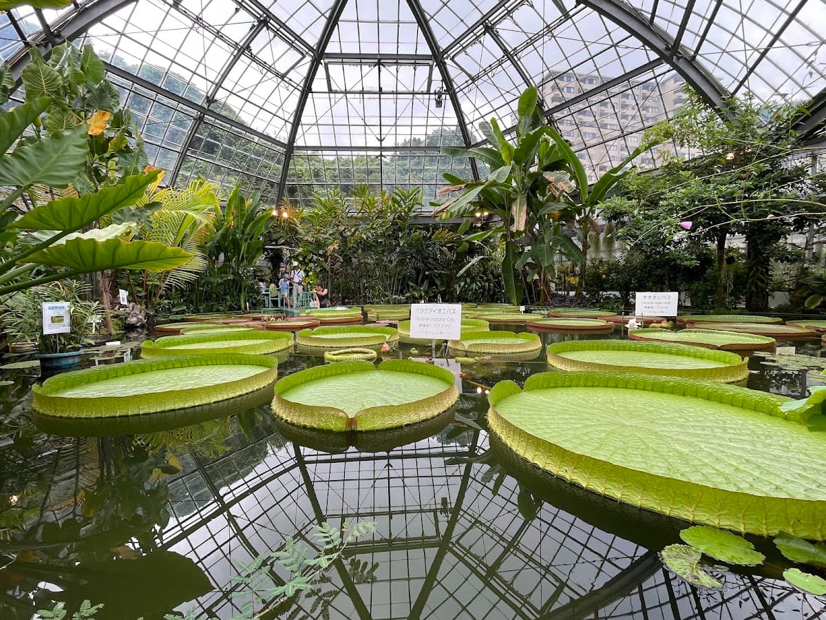 ATAGAWA TROPICAL & ALLIGATOR GARDEN