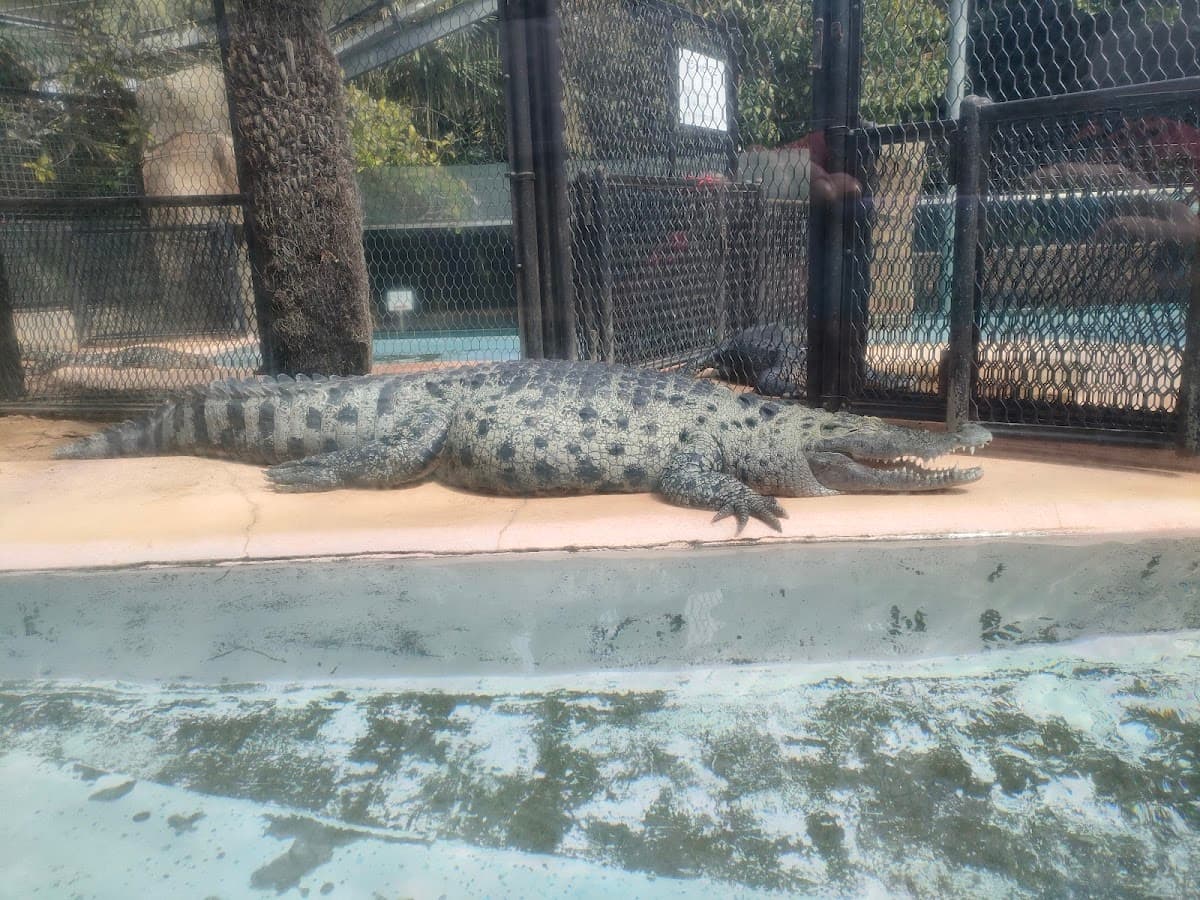 ATAGAWA TROPICAL & ALLIGATOR GARDEN