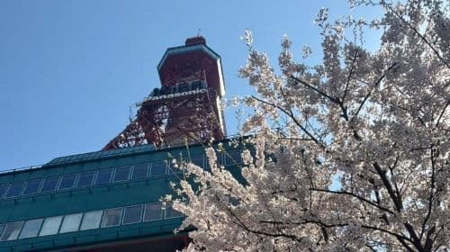 Authentic Sapporo: Nijo Market Seafood Lunch & History Tour Day Tours