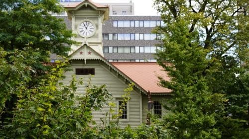 Authentiek Sapporo: Nijo Market Seafood Lunch & History Tour Dagtochten