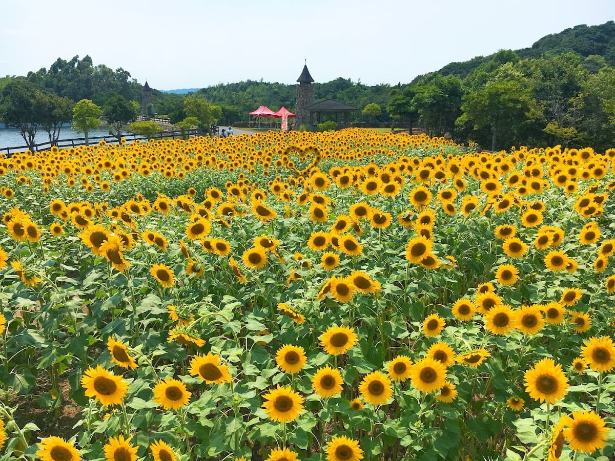 Awaji Farm Park England Hill