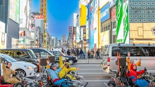 Osaka: Begeleide Go-Kart Tour in een Grappig Kostuum Dagtochten