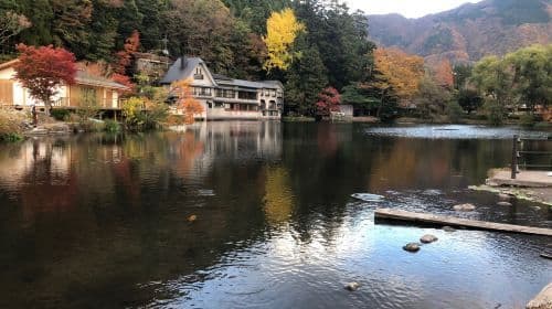 Beppu Kinrin Lake Autumn Viewing + Hells of Beppu + Kyushu Wildlife Park African Safari 1-day Tour Day Tours
