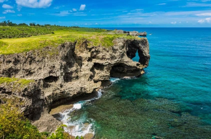 Classic Day Tour in Northern Okinawa