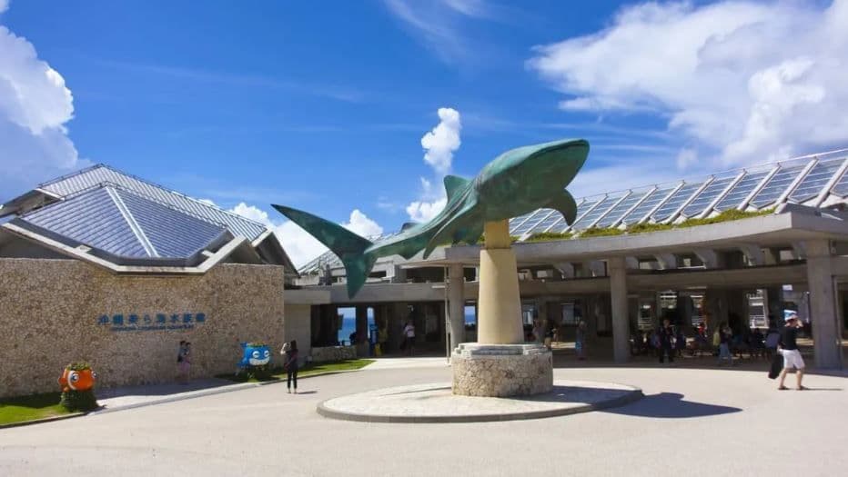 Excursion classique d'une journée dans le nord d'Okinawa