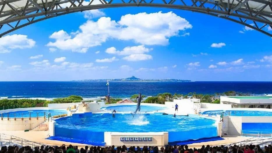 Excursion classique d'une journée dans le nord d'Okinawa