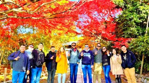 Complete Kyoto Tour: Ontdek 10 must-see bezienswaardigheden en verborgen parels tijdens dagtochten