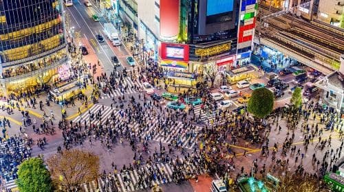 Visite privée personnalisable de Tokyo avec chauffeur anglophone  Excursions à la journée
