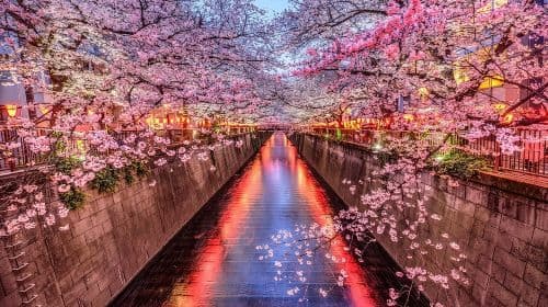 Tour privado personalizable por Tokio con conductor de habla inglesa - Excursiones de un día
