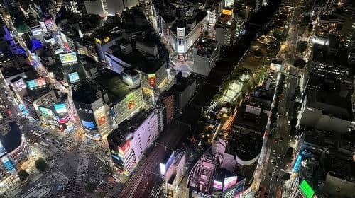 Tour privado personalizable por Tokio con conductor de habla inglesa - Excursiones de un día