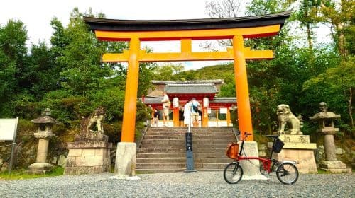 Cycling Tour at Uji's Matcha Green Tea Fields and Heritage Day Tours