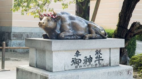 Day tour from Fukuoka: Raizansennyoji Taihioin + Yanagawa cruise + Dazaifu + Kamado Shrine Transport Passes