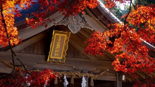 Day tour from Fukuoka: Raizansennyoji Taihioin + Yanagawa cruise + Dazaifu + Kamado Shrine Transport Passes