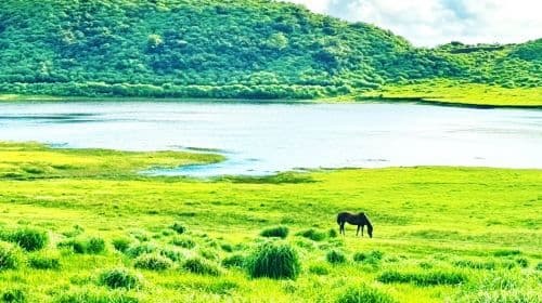 Kumamoto/Fukuoka 출발, Kumamoto Castle + Kusasenri + Mount Aso + Aso Boy 규슈 일일 투어