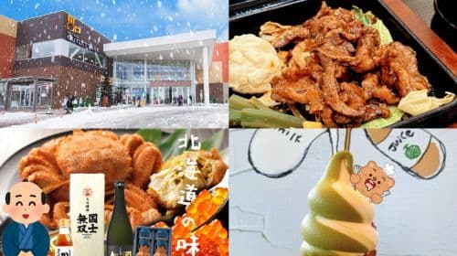 Saliendo desde Sapporo, Hokkaido: Excursiones de un día al Valle de Noboribetsu Jigokudani + Lago Tōya + Festival de Hielo del Lago Shikotsu/Outlet Mall