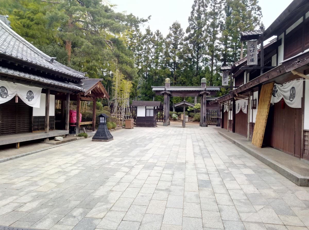 Edo Wonderland Nikko Edomura Theme Park Admission Ticket | Tochigi