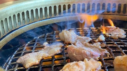 Découvrez les joies de la neige au mont Fuji, le bateau pirate de Hakone, les Gotemba Premium Outlets et un buffet barbecue japonais lors d'excursions d'une journée
