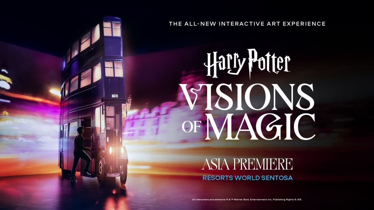 Harry Potter Visions of Magic