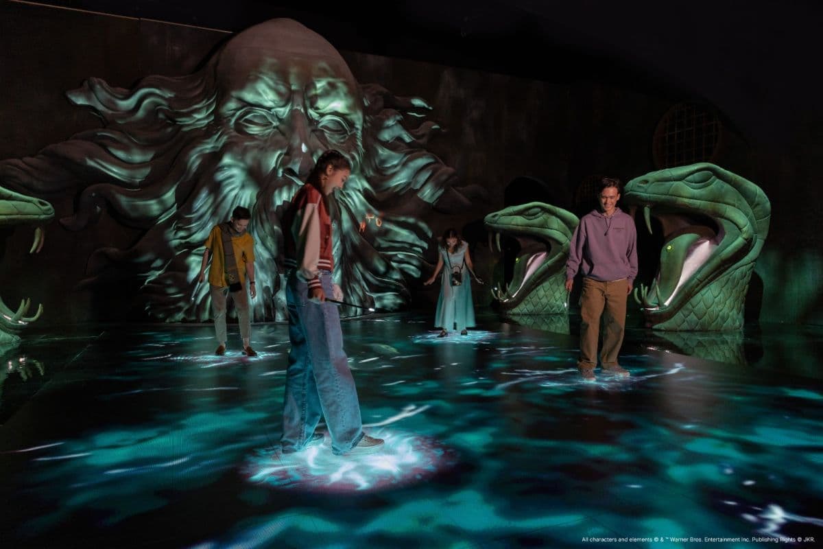 Harry Potter Visions of Magic
