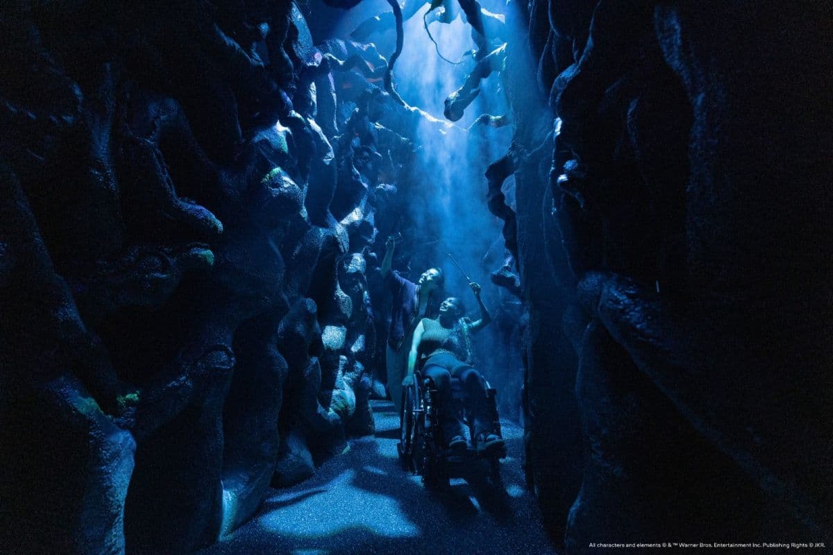 Harry Potter Visions of Magic