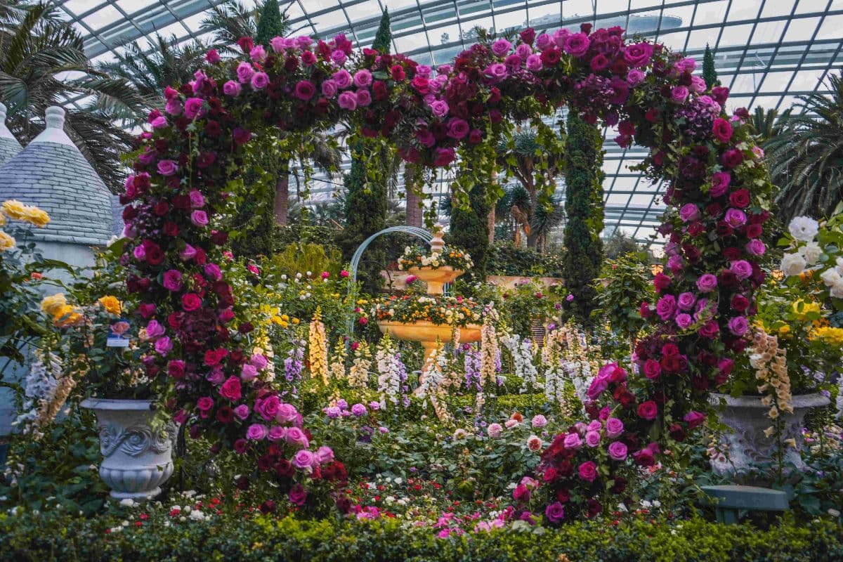 Pakiet Gardens by the Bay
