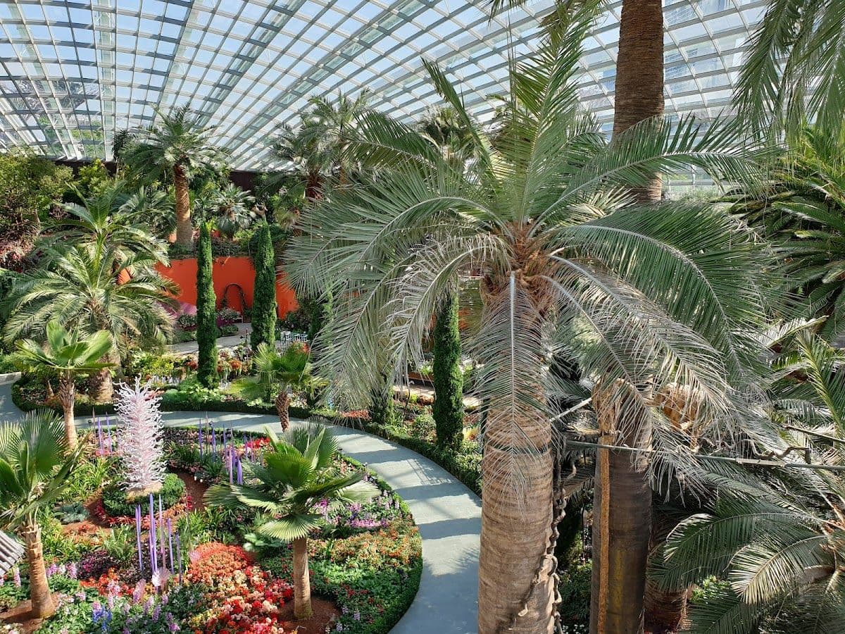 Gardens by the Bay Guided Tour - Supertrees, Flower Dome and Cloud Forest