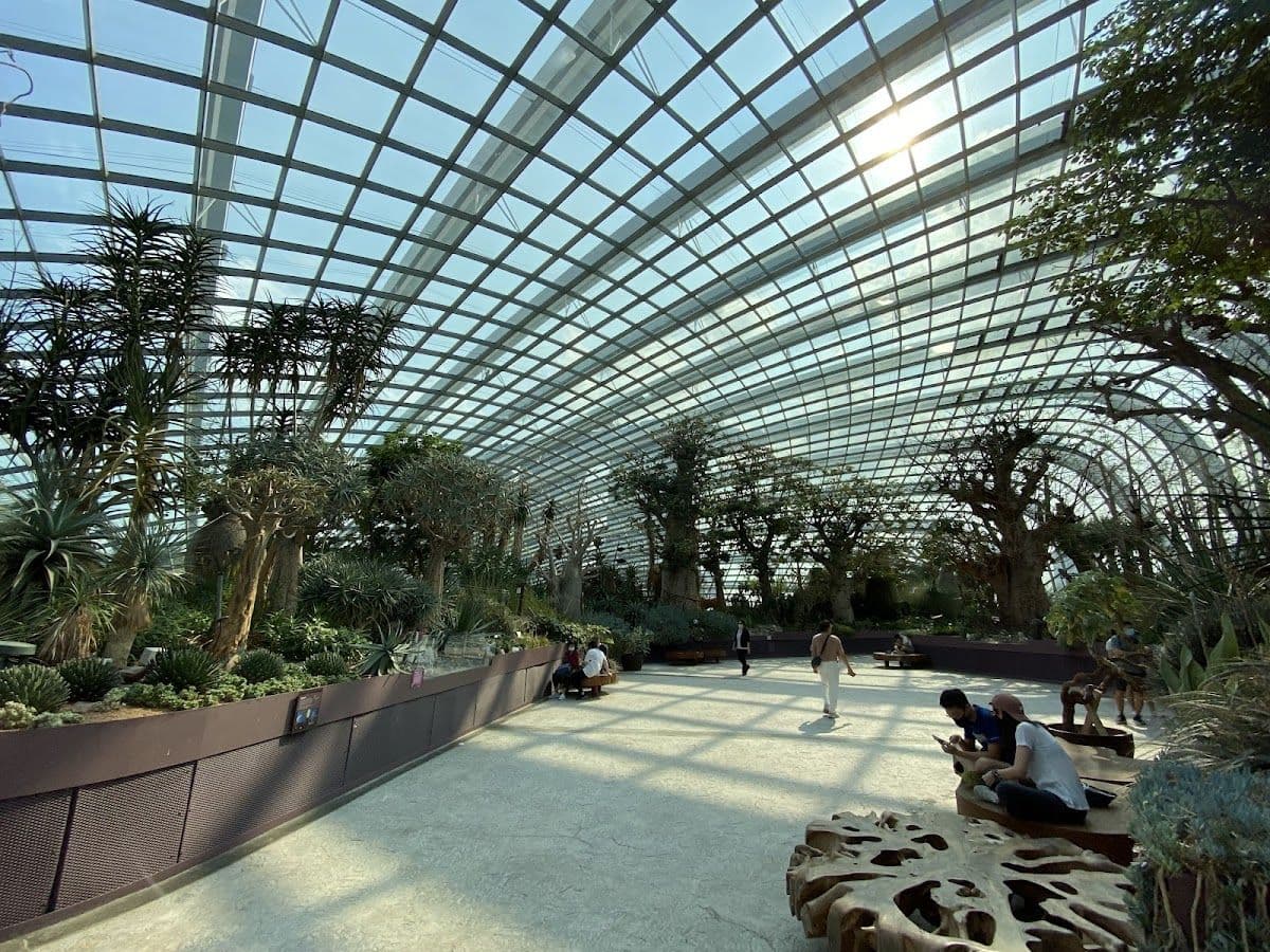 Gardens by the Bay Guided Tour - Supertrees, Flower Dome and Cloud Forest