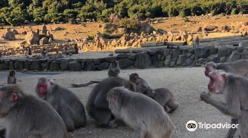 Chōshi Valley Monkey Kingdom Natural Zoo