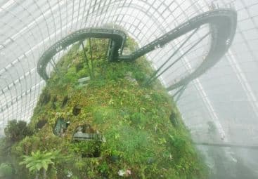 [Gardens by the Bay] Zagraniczny program edukacyjny