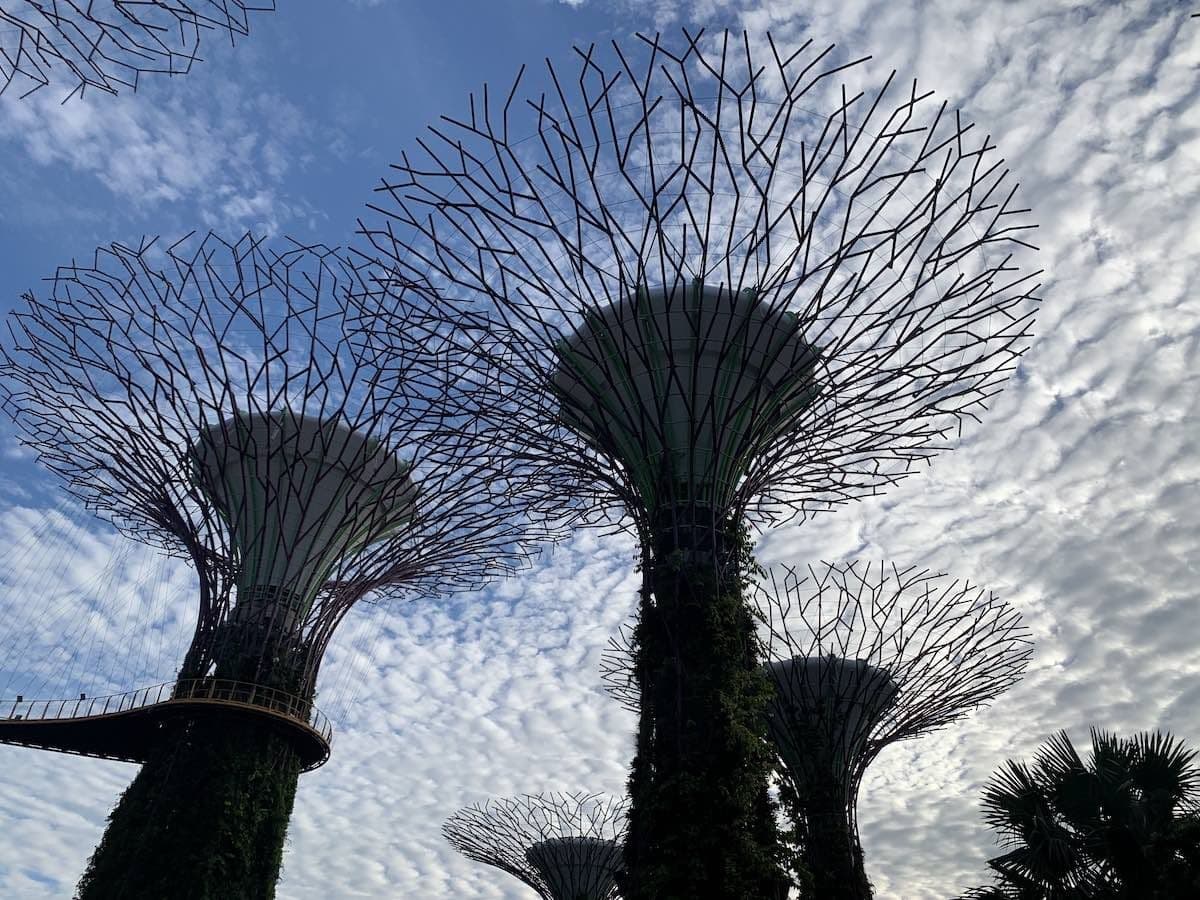 Treasure Race @ Gardens by the Bay