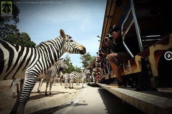 Chiang Mai Night Safari z transferem współdzielonym