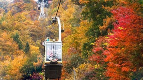 Free Cable Car|Excursão de 1 dia saindo de Tóquio para o Monte Fuji e Lago Kawaguchiko com teleférico panorâmico + Lawson famoso na internet + Oshino Hakkai
