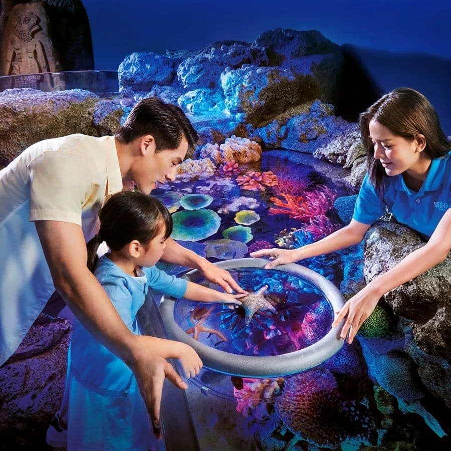 Sealife Bangkok + Madame Tussauds Bangkok Bundle