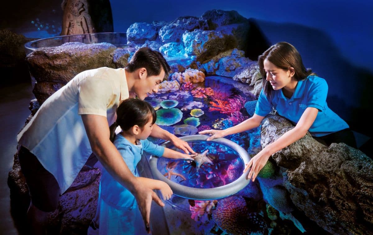 Pacote Sealife Bangkok + Madame Tussauds Bangkok (Tarifa de Grupo)