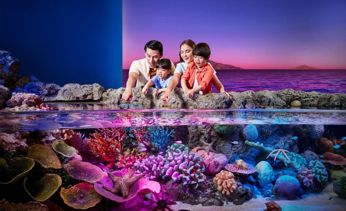 Pacote Sealife Bangkok + Madame Tussauds Bangkok (Tarifa de Grupo)