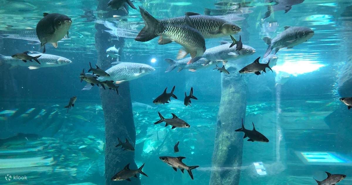 Underwater World Pattaya