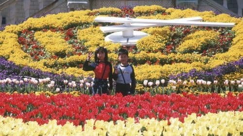 Da Fukuoka: gita privata di un giorno al parco a tema Huis Ten Bosch