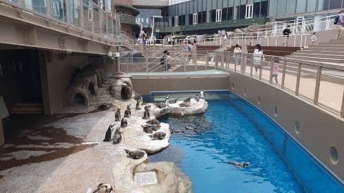 Aqua World Ibaraki Oarai Aquarium